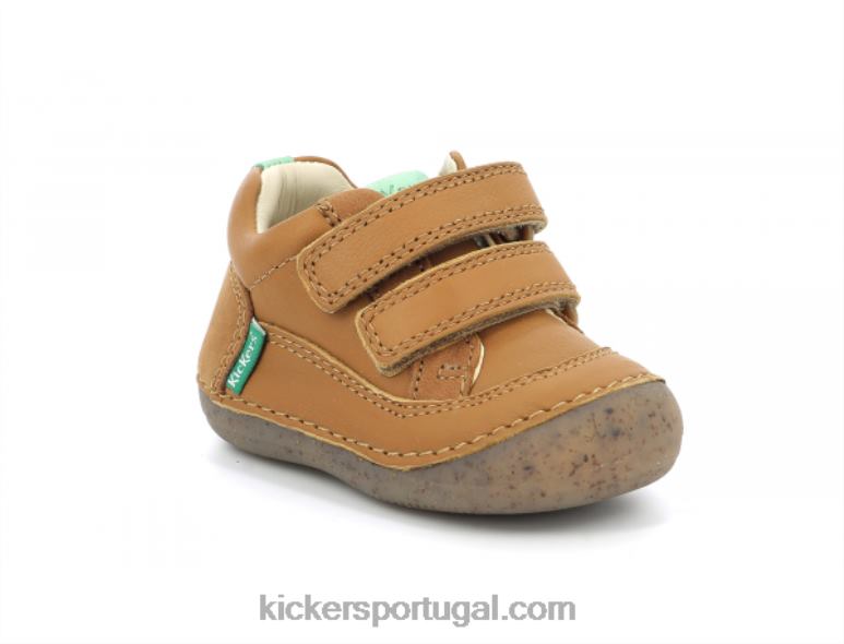 Kickers camelo sostankro V24TH914 crianças
