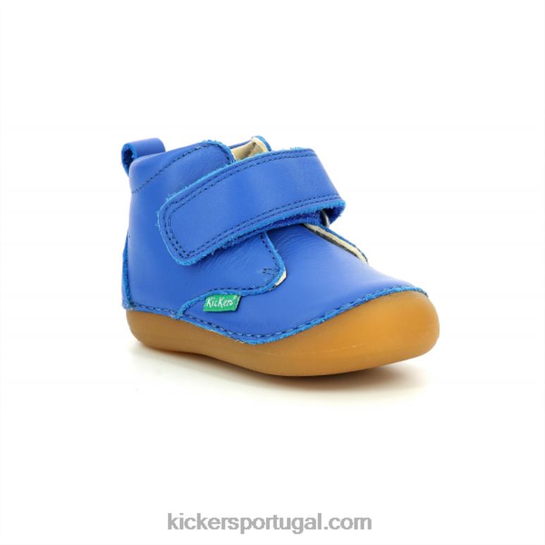 Kickers sabio azul V24TH886 crianças